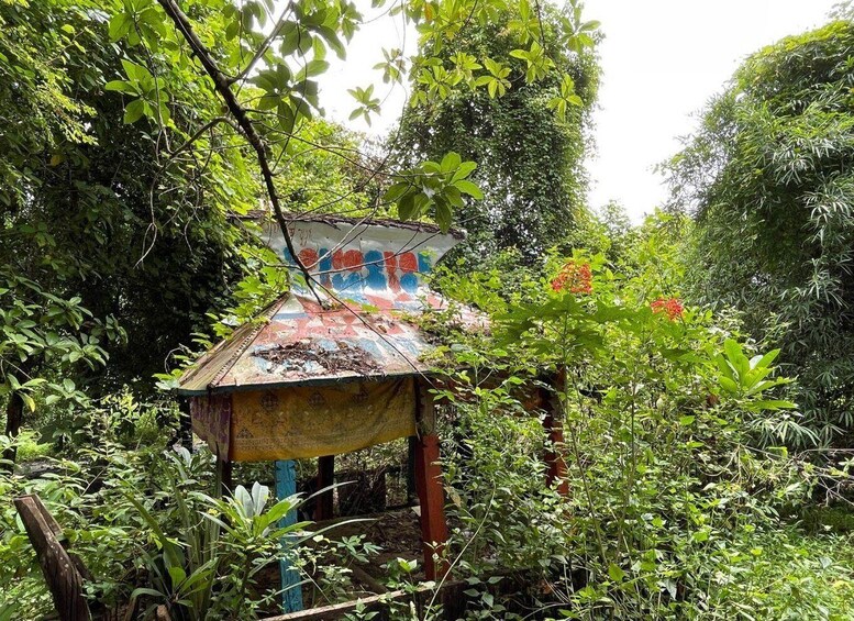 A dilapidated structure with colorful graffiti, surrounded by dense tropical foliage. 3