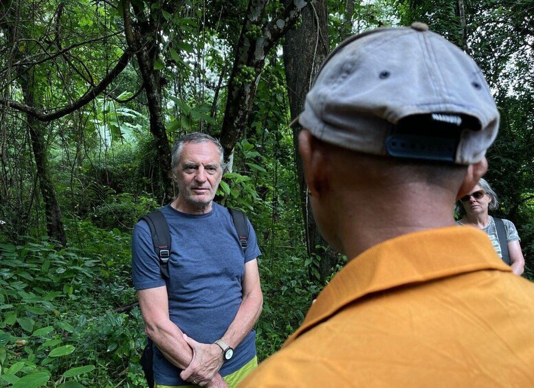 A man in a blue shirt and yellow shorts standing in a forest with dense green foliage and trees. 5