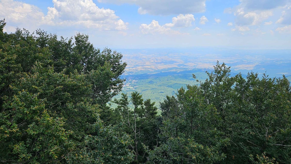 A forested landscape with a view of a valley and distant cityscape. 2