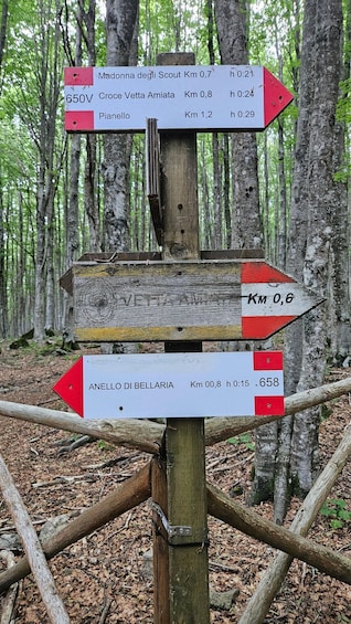 A wooden signpost with multiple directional arrows pointing to various destinations with distances and altitudes. 3