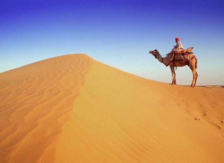 A person riding a camel on a sand dune. 5