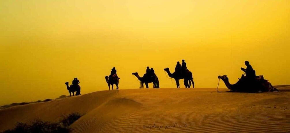 A desert landscape with camels and riders silhouetted against a sunset. 1