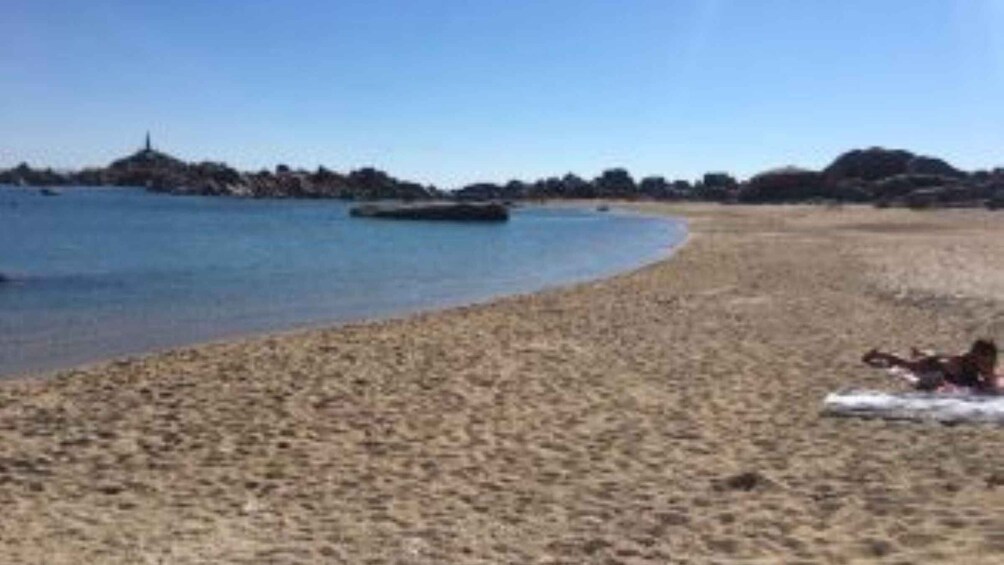 A sandy beach with a dog lying on the sand. 3