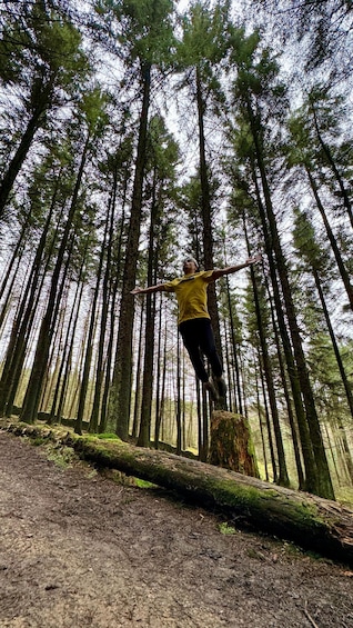 A person balancing on a fallen tree in a forest. 1