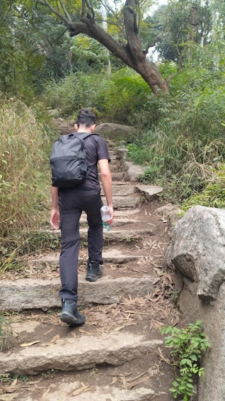 A person walking on a rocky trail surrounded by greenery. 5