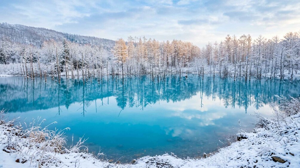 A tranquil lake surrounded by snow-covered trees and a clear blue sky. 1