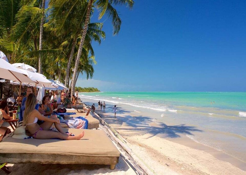 A beach with lounge chairs and umbrellas, palm trees, and clear turquoise water. 3