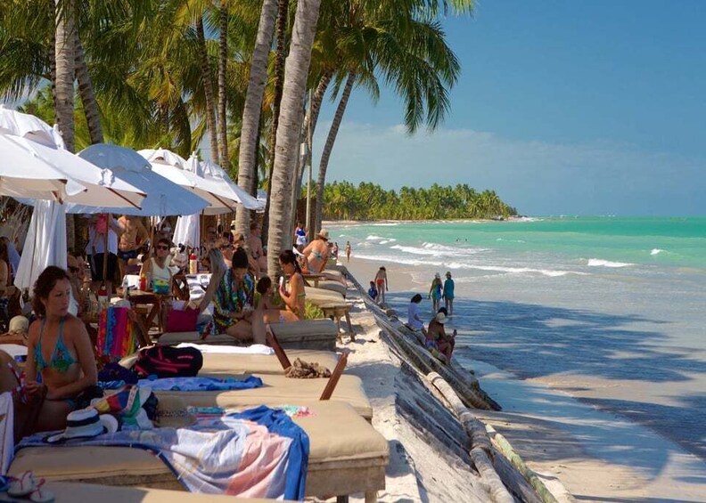 A beach with people sunbathing, umbrellas, and palm trees. 4
