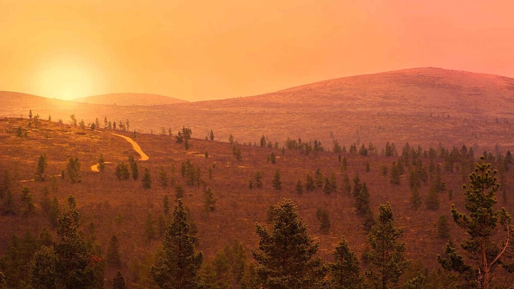 A mountainous landscape with a winding road and scattered trees. 2