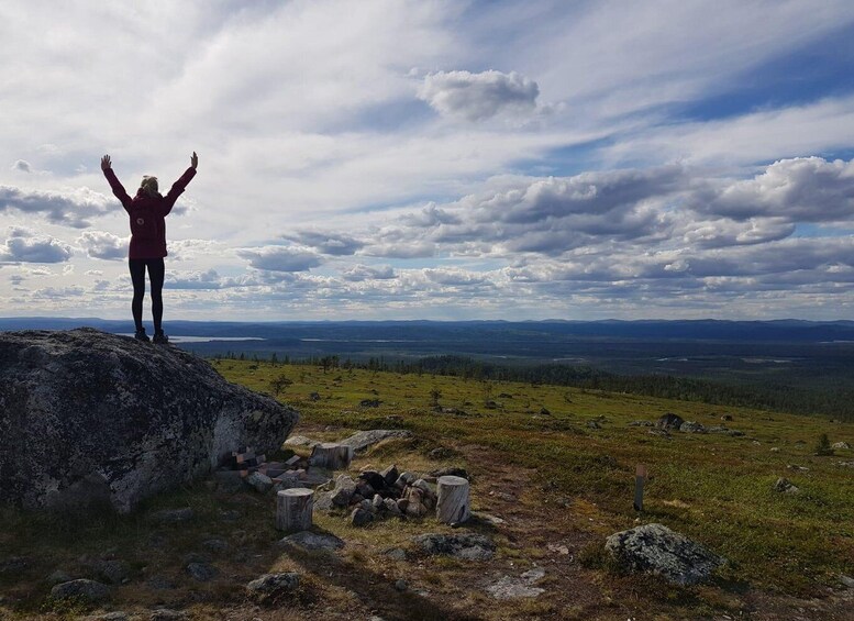 A person standing on a rock with arms raised, overlooking a vast landscape with trees and distant mountains under a cloudy sky. 1