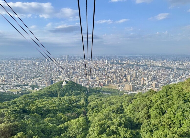 A cityscape viewed from a hilltop with dense greenery in the foreground and power lines in the background. 2
