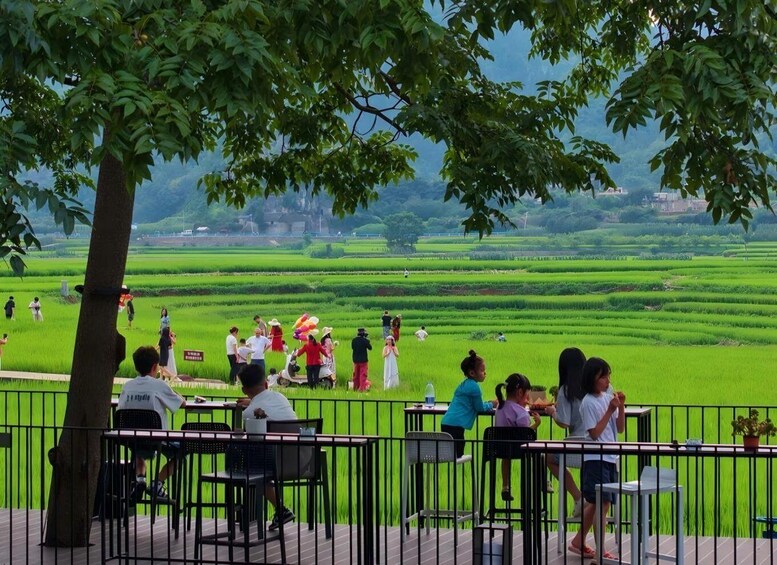 A group of people dining at tables with a view of terraced rice fields. 3
