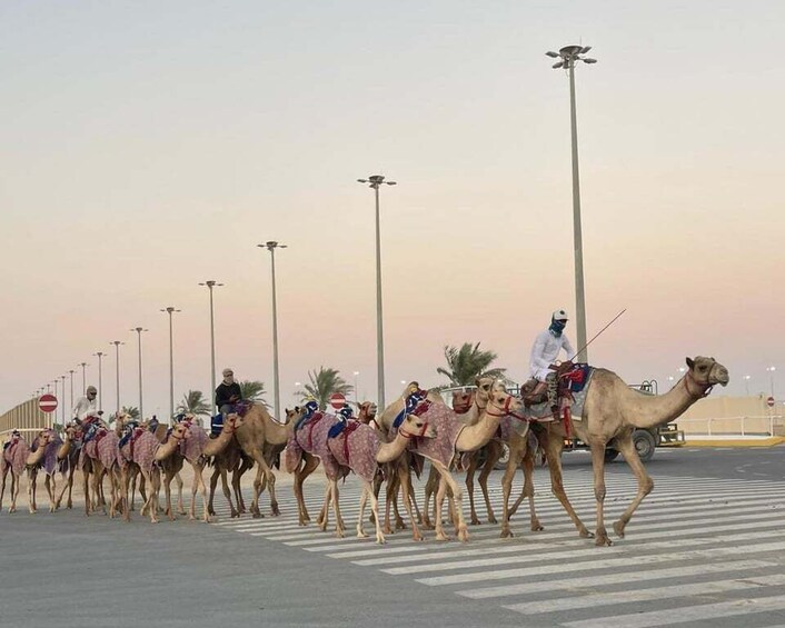 A line of camels with riders, crossing a pedestrian crossing in a desert-like environment. 1