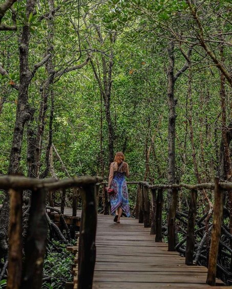 A person walking on a wooden bridge surrounded by dense green foliage. 2