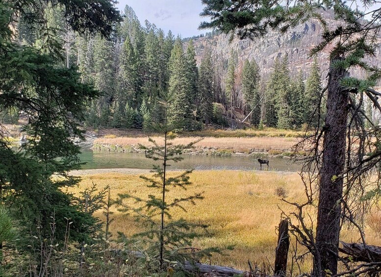 A river, dense forest, and a mountain range. 1