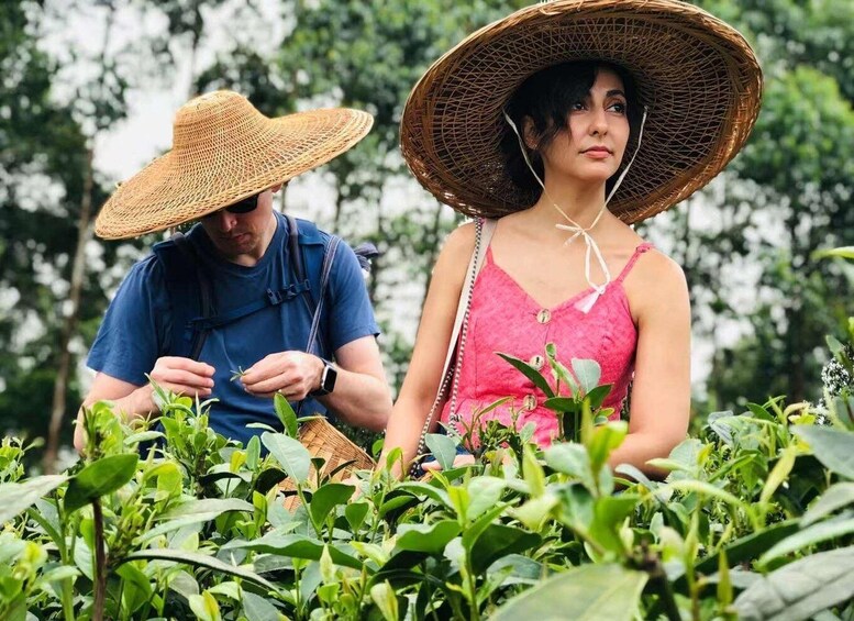 Two people in a garden, one wearing a straw hat and the other in a pink dress, surrounded by green plants. 1