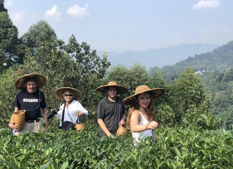 Four people in a field with large hats, surrounded by greenery and hills in the background. 2