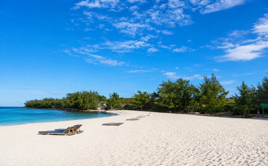 A beach with white sand, clear blue water, and green trees. 3