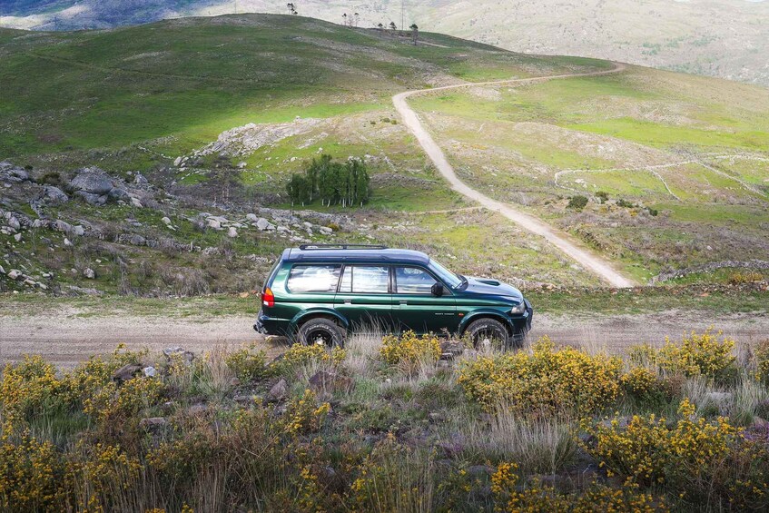 A green SUV on a dirt road in a hilly, grassy landscape with yellow flowers in the foreground. 3