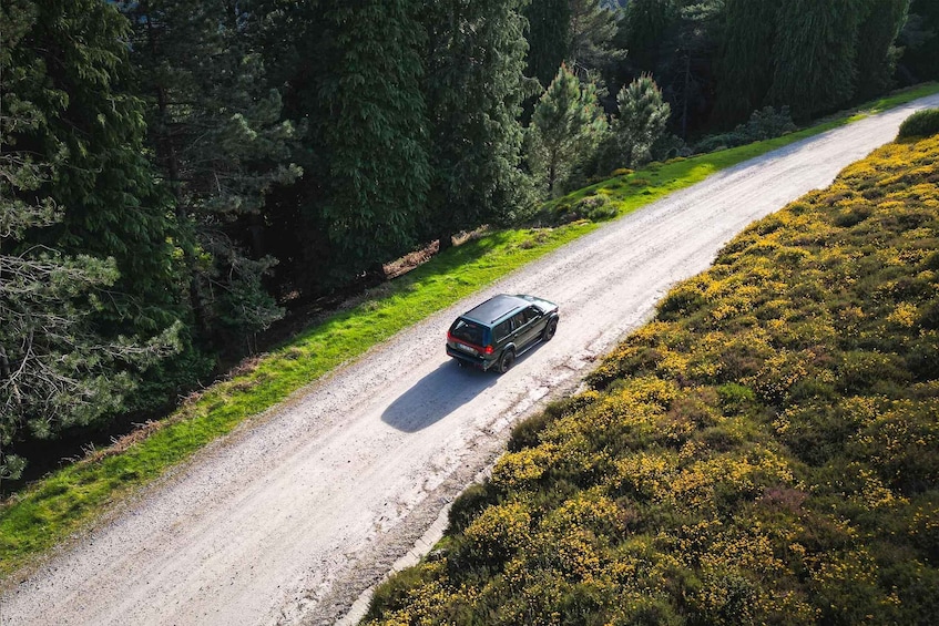 A car driving on a gravel road surrounded by dense forest and yellow flowers. 1