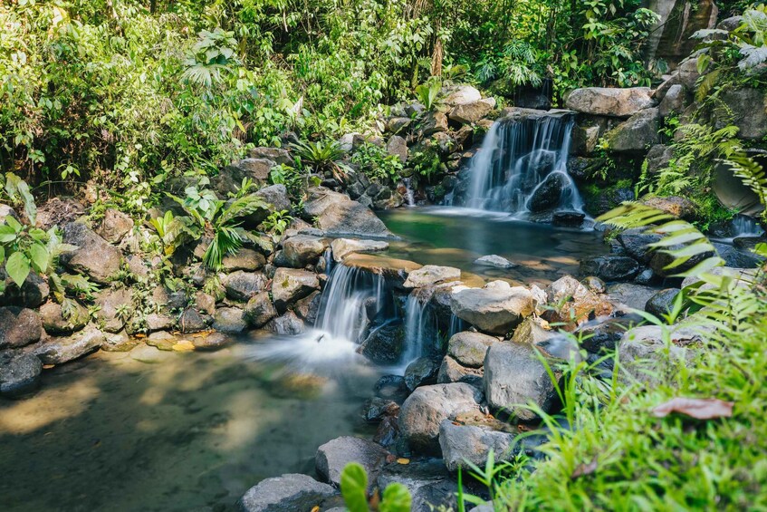 A natural waterfall cascading over rocks in a lush, green forest. 1