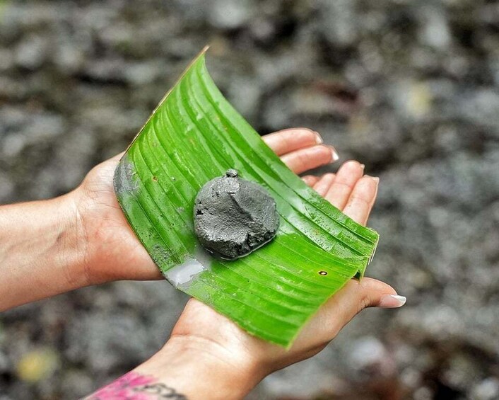 A hand holding a dark object on a green leaf. 5