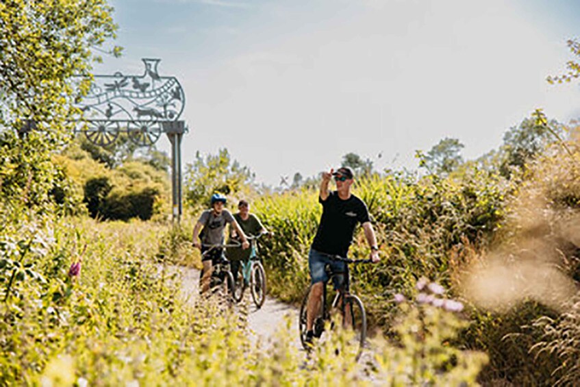 A group of cyclists on a trail surrounded by greenery. 5