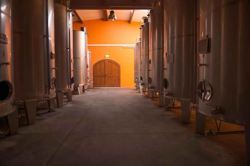 A row of stainless steel fermentation tanks in a facility with an orange wall and a wooden door at the end. 2