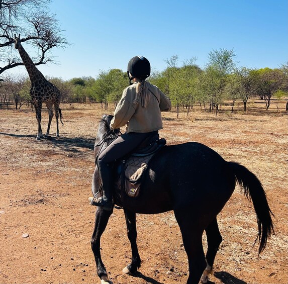 A person riding a horse in a dry, open landscape with sparse trees and a giraffe in the background. 3