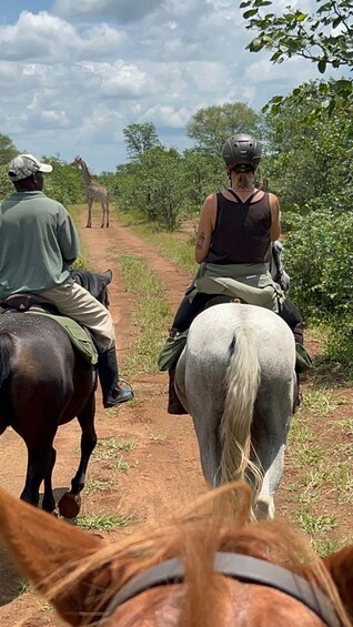 Two people riding horses on a dirt path with trees and a giraffe in the background. 2