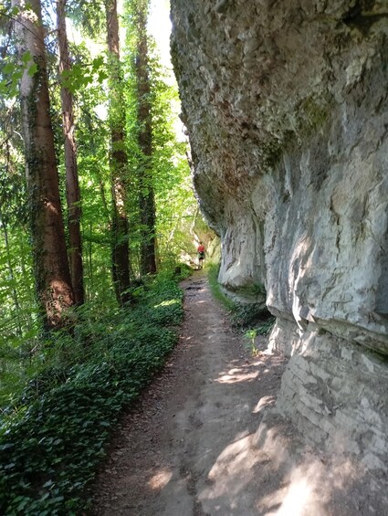 A forest trail with a rocky cliff on the right. 4