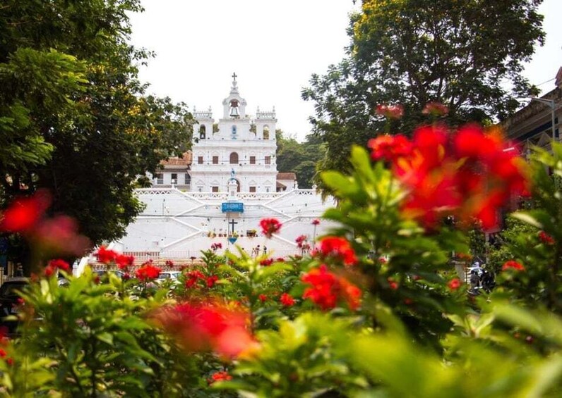 A white church with a bell tower, surrounded by lush greenery and red flowers. 3