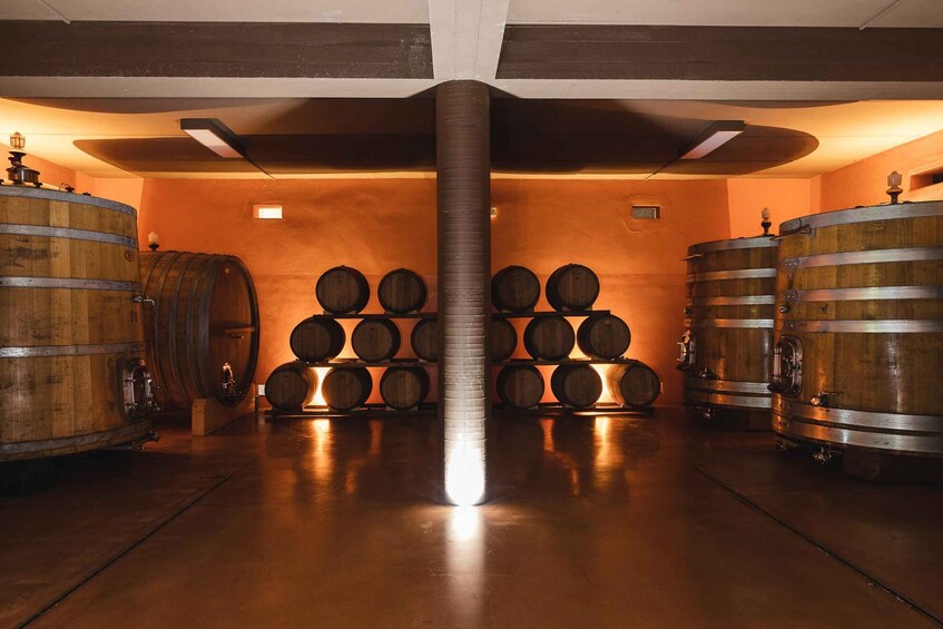 A wine cellar with wooden barrels and a central column. 5