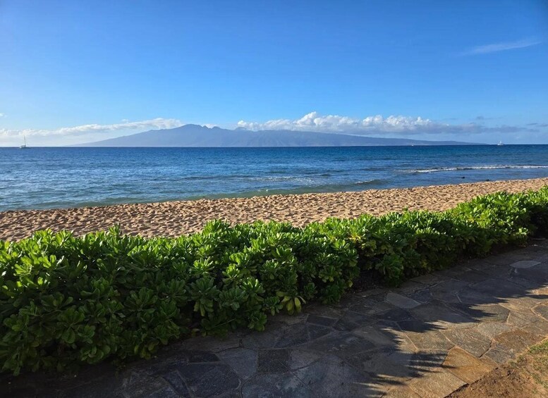 A beach with a stone pathway, green bushes, and a clear blue sky. 3