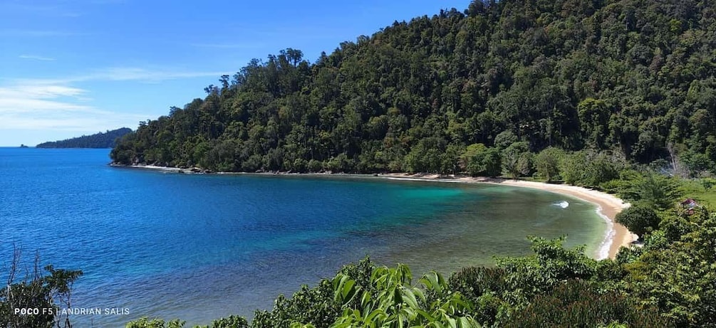 A coastal landscape with a clear blue sea, a sandy beach, and a dense forested hill. 4