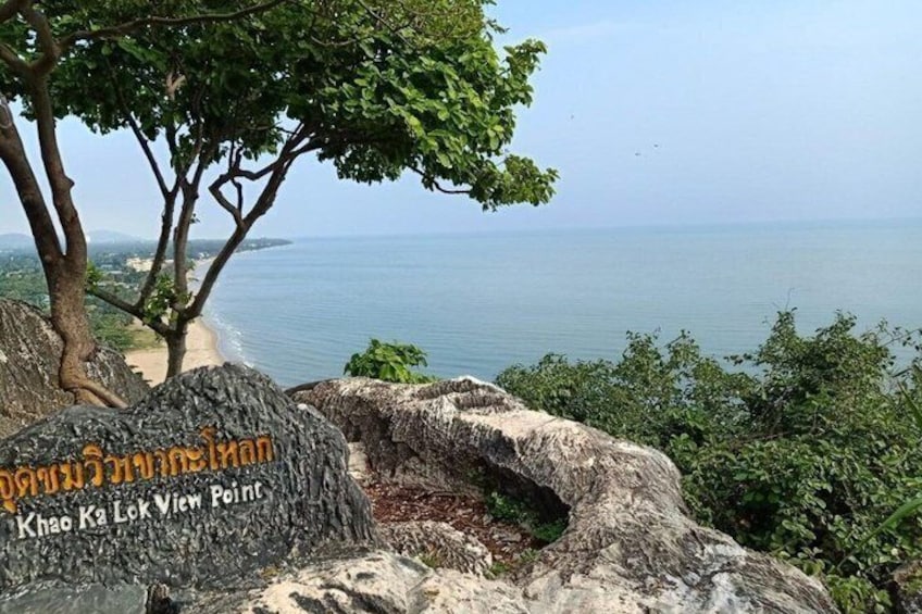 A rocky viewpoint with a tree, a view of the sea, and a sign with text. 3