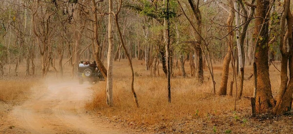 A vehicle driving on a dirt road through a forest. 2