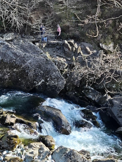 A rocky riverbed with flowing water, surrounded by trees and rocks. 3