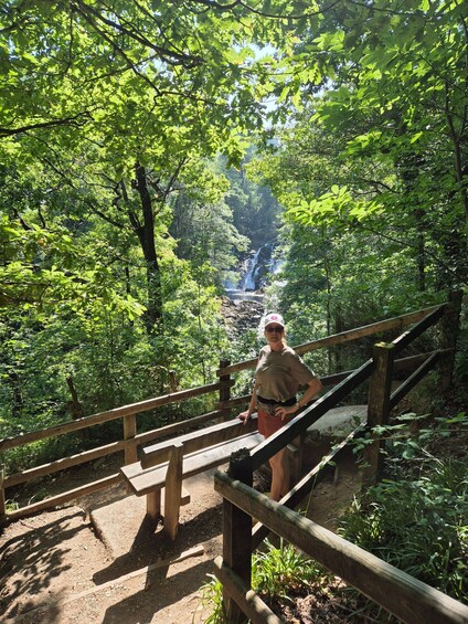 A person standing on a wooden staircase surrounded by lush green foliage. 5