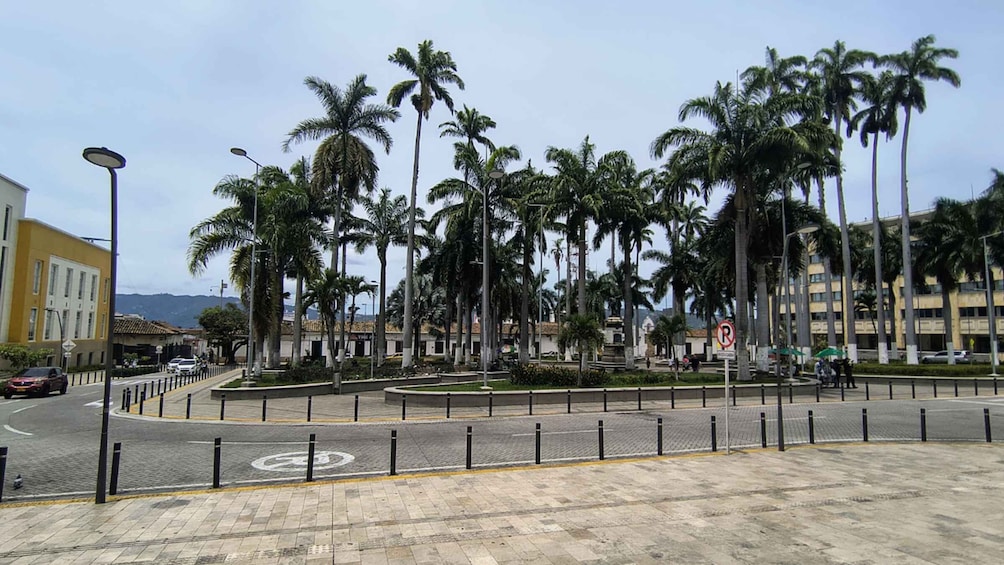 A roundabout with palm trees, a no parking sign, and buildings in the background. 3