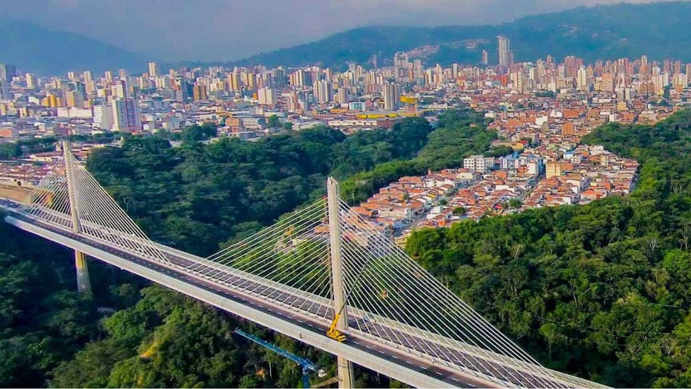 A cable-stayed bridge over a river, with a dense urban cityscape in the background. 5