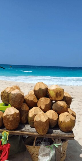 A beach with a table of coconuts and a green bag. 2