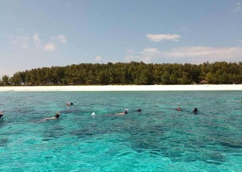 People swimming in clear turquoise water with a beach and forested area in the background. 3