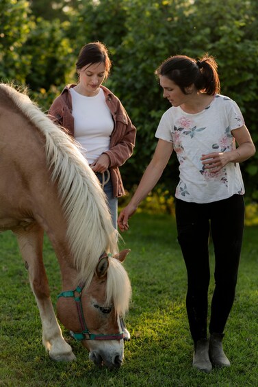 Two people interacting with a horse in a grassy field. 2