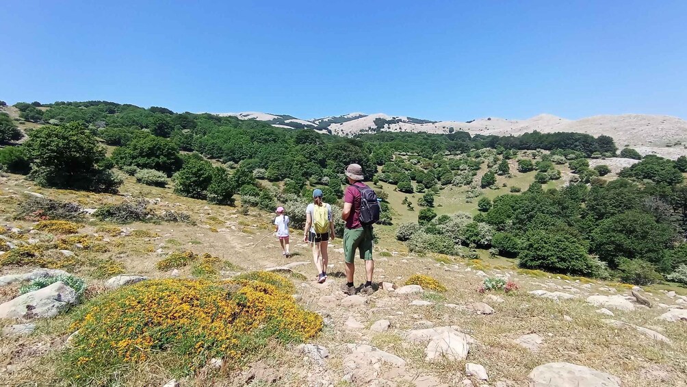 A hiker with a backpack and a child walking on a rocky trail with yellow flowers and green shrubs. 3