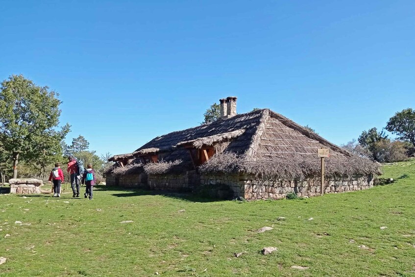 A traditional stone house with a thatched roof, surrounded by a grassy field and trees. 5