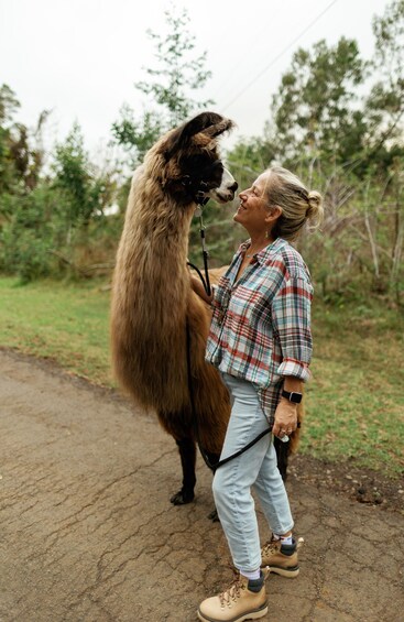 A person with a llama on a dirt path surrounded by greenery. 3