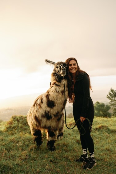 A person with a llama in a grassy field with a hazy background. 1