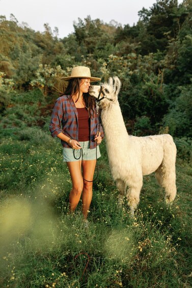 A person standing in a field with a llama. 2