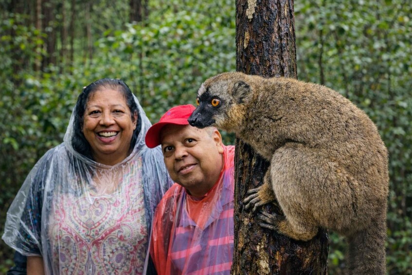 Antananarivo: Andasibe National Park Day Trip with Lemurs 1